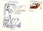 Romania / Special Cover With Special Cancellation - Natur