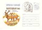 Romania / Postal Stationery With Special Cancellation/ Natura '90 - Naturaleza