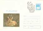 Romania /postal Stationery With Special Cancellation / Expofauna '81 - Nature