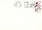 Romania /  Cover With Special Cancellation /european Year For Protection Environment - Natur