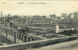 CPA - ALGERIE - TEBESSA : Vue Générale De La Basilique (circulée, 1906)  Animée. - Tébessa