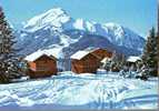 CPSM. DATEE DE 1972. CHATEL. LES PETITS CHALETS DE SUPER CHATEL. AU FOND: LE PIS DE GRANGE. - Châtel