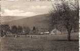 ENVIRONS  DE  WANNE  : PANORAMA  DE  WANNERANVAL  ET LA  VALLEE  VERS L' AMBLEVE - Trois-Ponts