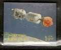 Bhutan 1967 Exotica, 3D Stamp, Space Shuttle, Astronuts, Lunar  # 2389 - Bhutan