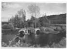 29 )FL) CARHAIX, Le Vieux Pont Au Moulin Meur, CPSM 150x105 Ed REMA - Carhaix-Plouguer