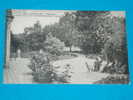 17) Saujon - Braun N° 2882 - Un Coin Du Jardin De L´etablissement Thermal - Année 1920 - EDIT - Saujon