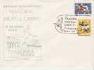Romania / Special Cover With Special Cancellation - Handball