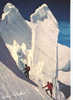 CARTE POSTALE DE L ASCENSION DE LA BARRE DES ECRINS - Mountaineering, Alpinism