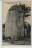 THEME  DOLMEN   **GUERANDE 44  **MENHIR DE BISSIN - Dolmen & Menhirs