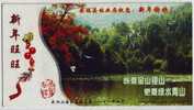 Crane Bird,green Mountain,green Water,China 2006 Mt.Wugongshan National Forest Park Advertising Postal Stationery Card - Cranes And Other Gruiformes