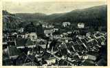 TRILBERG  - BLICK VOM FELSENPAVILLON  1920 - Triberg