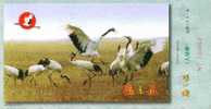 Crane Bird,  Pre-stamped Stationery , Postal Stationery - Aves Gruiformes (Grullas)