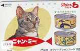 CHAT Cat KATZE Poes KAT Gato GATTO (1134) - Katzen