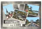 45 )FL) CHATILLON SUR LOIRE, MUTLVITUES CPSM 150 X 105 - Chatillon Sur Loire