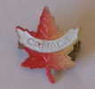 CANADA  Pin Badge - Administration