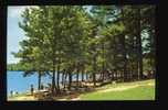 Picnic Area, Daingergield State Park, Texas - Other & Unclassified