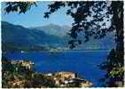 Cpsm SUISSE - BRISSAGO Lago Maggiore - Brissago