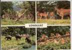 THE LIONS OFLONGLEAT - MULTI VUES - Other & Unclassified