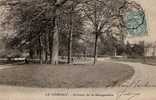 D78 - LE VESINET  - Avenue De La Marguerite - Le Vésinet