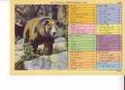 OURS -  N°  L 82  - Souvenir   LAC DES PLAGES -   Canada - Bears