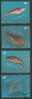 2004 ARGENTINA FISHES FROM MALVINAS ISLAND 4V - Unused Stamps