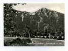 Avellino Santuario Di Montevergine 1964 - Avellino