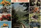 CPSM. LES PYRENEES. 9 VUES. - Midi-Pyrénées