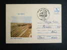 FDC -Romania- Train -Railway - Ineu -Cermei   VF 1989  D13697 - FDC