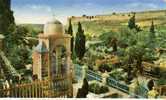 PALESTINE .  JERUSALEM .   JARDIN DE GETHSEMANIE . - Palestine