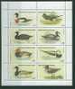 38N0045 Canard 152 Guinee Equatoriale 1979 Neuf - Ducks