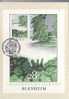 G B  CARTE MAXIMUM NUM.YVERT 1102 LES JARDINS BRITANNIQUES - Tarjetas PHQ