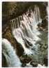 Les Alpes Du Dauphiné : Les Gorges De La Bourne , Cascades à Pont-en-Royans (Isère) ; B/TB - Pont-en-Royans