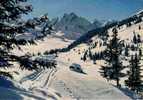 73 - COURCHEVEL, LES VERDONS ET LA SAULIRE DEPUIS LE JARDIN ALPIN - Courchevel