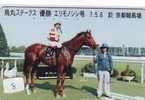 TELEFONKARTE PFERD REITEN (8)  CHEVAL - Horse - Paard - Caballo Phonecard Animal Japon Télécarte - Chevaux
