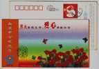 China 2004 Shengyang Blood Station Advertising Postal Stationery Card Rose Butterfly - Other & Unclassified