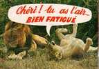 CPSM.  ANIMAUX HUMOURISTIQUES. CHERI ! TU AS L´AIR... BIEN FATIGUE. - Leeuwen