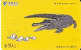 TARJETA DE CHINA DE UN COCODRILO (COCODRILE) - Krokodillen En Alligators