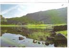 CP - BLEA TARN - - Other & Unclassified