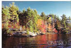 CP - ONTARIO - AUTUMN IN ONTARIO - Andere & Zonder Classificatie