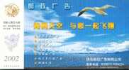 Seagull  Bird, Pre-stamped Card , Postal Stationery - Gabbiani