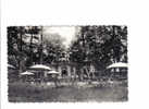 UCCLE Parc De Wolvendael (pavillion Louis Xv) Carte Vierge - Ukkel - Uccle