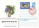 RUSSIA – USSR  1981   NEW YEAR  P. Stationery +stamp + Special Cancellation First Day - New Year