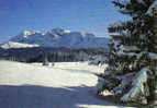 Carte Postale 38.  Chamrousse Et La Prairie De L'Arcelle  Et LeTaillefer Trés Beau Plan - Chamrousse