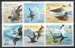 MDB-BK1-492 MINT ¤ B.I.O.T. 2007 6w In Serie  ¤ - OISEAUX - BIRDS - SEABIRDS - VOGELS - VÖGEL - - Palmípedos Marinos