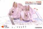 LAPIN / Lapins Sur Un Classeur Collection Ticket - RABBIT - KANINCHEN - CONEJO - KONIJN - AW - Lapins