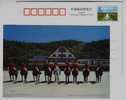 Horse Team,#6,China 2007 Dalian The Mounted Policewomen Advertising Postal Stationery Card - Polizei - Gendarmerie