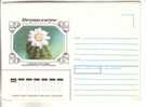 GOOD USSR / RUSSIA Postal Cover 1983 - Cactusses - Gymnocalycium Damsii - Sukkulenten