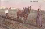 Agriculture / Les Semailles (Animée / Cheval / Labour / Belle Carte Couleur) - Farms