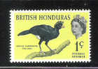 British Honduras 1962 Birds 1c MLH - Belice (1973-...)