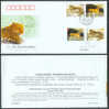 2005 LF-29 CHINA-CANADA JOINT Leopard &Cougar 2X2 FDC - Cartas & Documentos